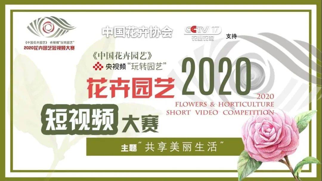 新奥门特免费资料大全管家婆,广泛的解释落实支持计划_精英版201.123