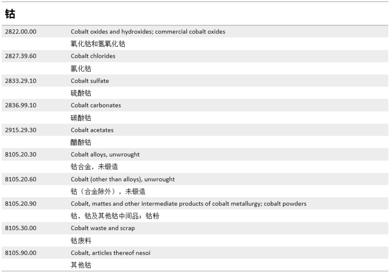 香港资料大全+正版资料2024年,效率资料解释落实_升级版9.123