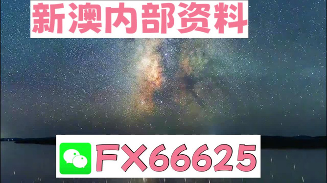 2024新澳免费资料彩迷信封,动态词语解释落实_豪华版180.300