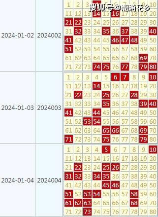 2024年正版免费天天开彩,互动性策略解析_特别款55.201