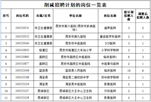 新源县级托养福利事业单位发展规划展望