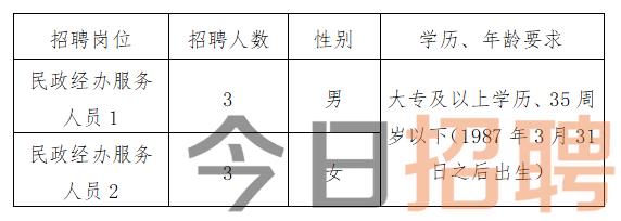 南芬区统计局最新招聘信息全面解析